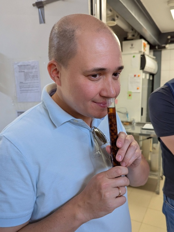 Оценка аромата хмеля на пивоварне