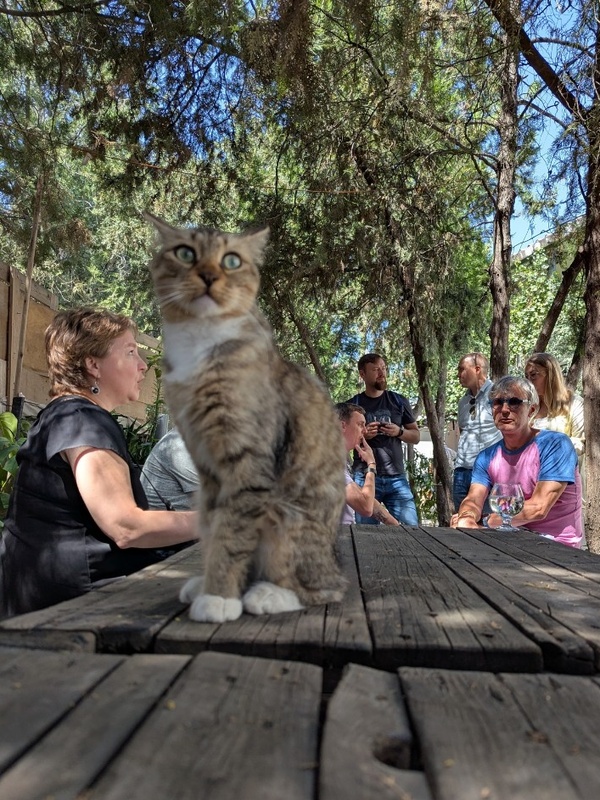 Отдых на территории пивоварни