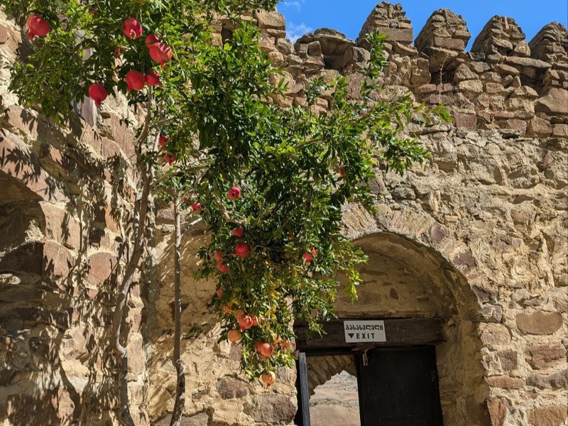 «Солёное озеро» и меняющийся ландшафт