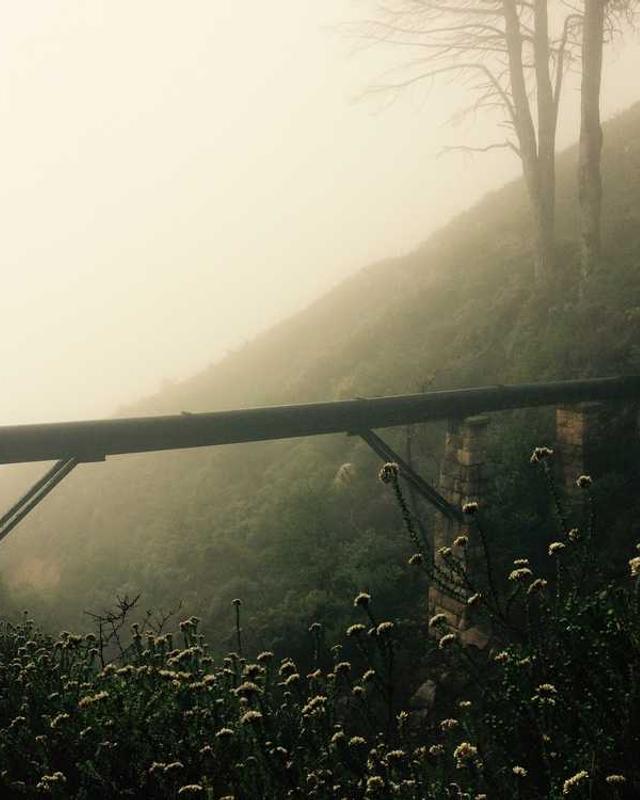 Фото гида Любови